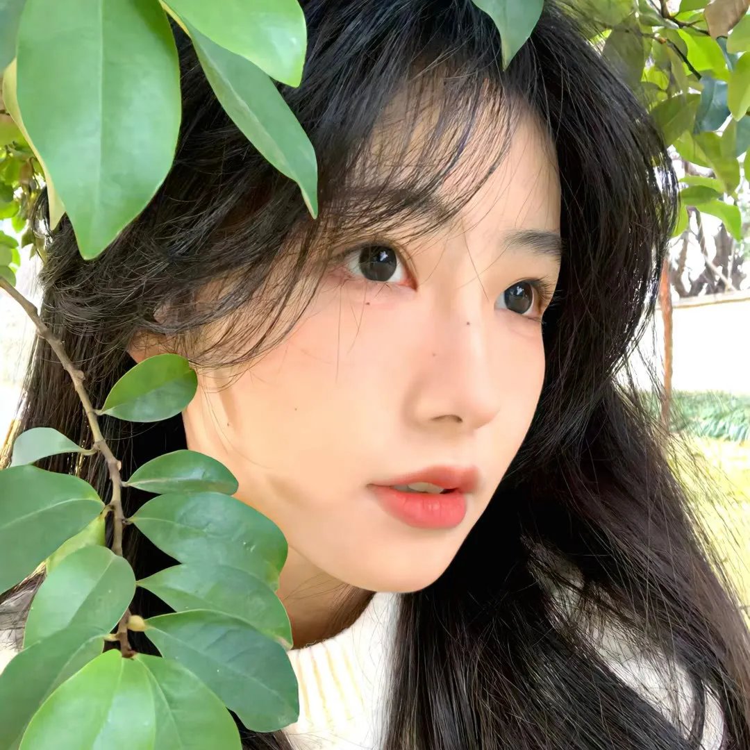 常绿树