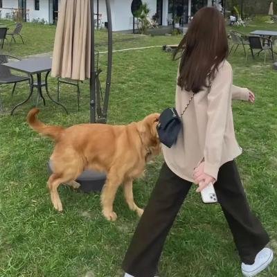 一个人的课堂